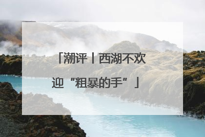 潮评丨西湖不欢迎“粗暴的手”