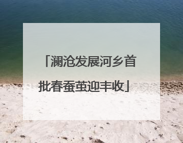澜沧发展河乡首批春蚕茧迎丰收