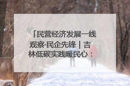 民营经济发展一线观察·民企先锋｜吉林低碳实践暖民心：太阳能供暖技术为北方清洁取暖破局