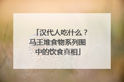 汉代人吃什么？马王堆食物系列图中的饮食真相