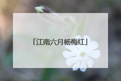 江南六月杨梅红