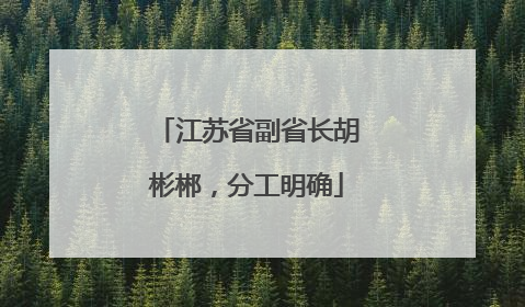 江苏省副省长胡彬郴，分工明确