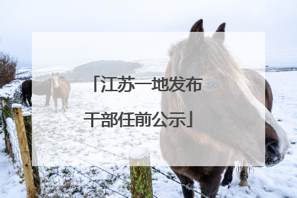 江苏一地发布干部任前公示