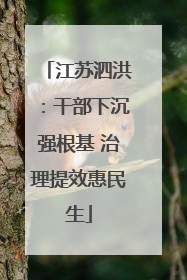 江苏泗洪：干部下沉强根基 治理提效惠民生