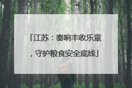 江苏：奏响丰收乐章，守护粮食安全底线