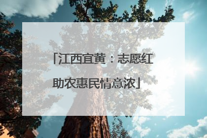 江西宜黄：志愿红助农惠民情意浓