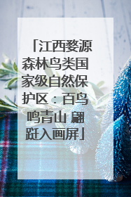 江西婺源森林鸟类国家级自然保护区：百鸟鸣青山 翩跹入画屏