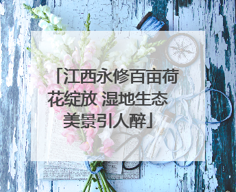 江西永修百亩荷花绽放 湿地生态美景引人醉