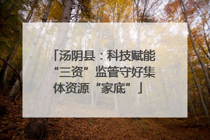 汤阴县：科技赋能“三资”监管守好集体资源“家底”