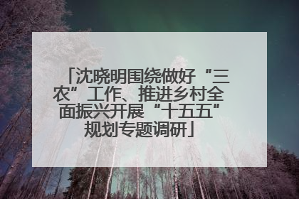 沈晓明围绕做好“三农”工作、推进乡村全面振兴开展“十五五”规划专题调研