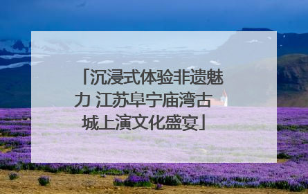 沉浸式体验非遗魅力 江苏阜宁庙湾古城上演文化盛宴