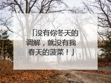 没有你冬天的调解，就没有我春天的菠菜！