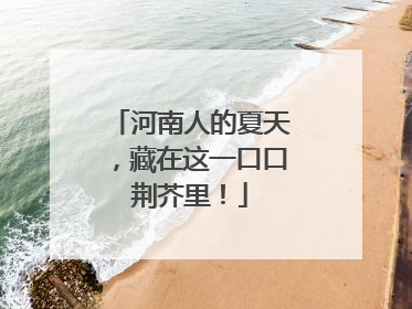 河南人的夏天，藏在这一口口荆芥里！