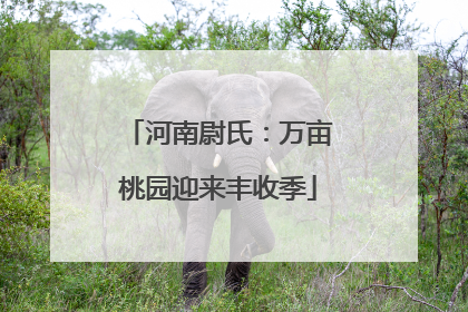 河南尉氏：万亩桃园迎来丰收季