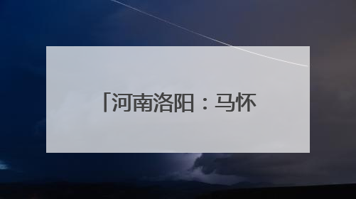 河南洛阳：马怀庆到偃师区指导调研防汛综合应急演练等工作