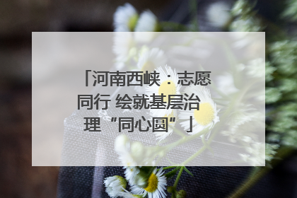 河南西峡：志愿同行 绘就基层治理“同心圆”