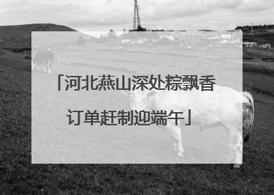 河北燕山深处粽飘香 订单赶制迎端午