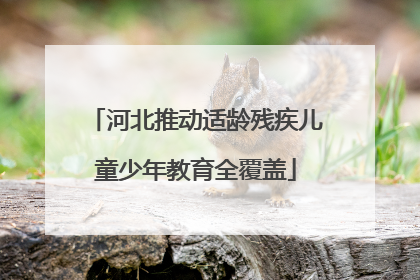 河北推动适龄残疾儿童少年教育全覆盖