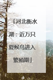 河北衡水湖：近万只夏候鸟进入繁殖期