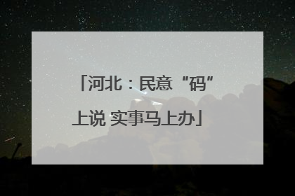 河北：民意“码”上说 实事马上办
