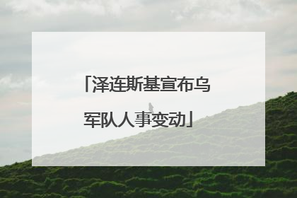 泽连斯基宣布乌军队人事变动