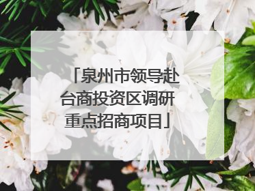 泉州市领导赴台商投资区调研重点招商项目