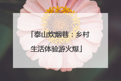 泰山炊烟巷：乡村生活体验游火爆