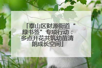 泰山区财源街道“绿书签”专项行动：多点开花共筑幼苗清朗成长空间