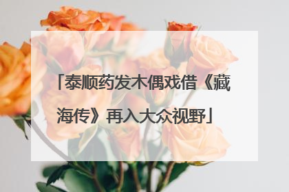泰顺药发木偶戏借《藏海传》再入大众视野