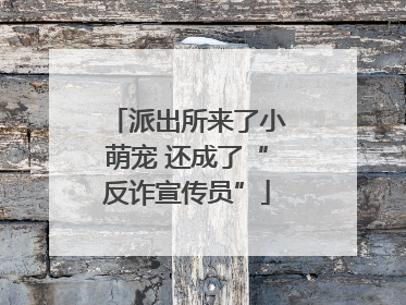 派出所来了小萌宠 还成了“反诈宣传员”