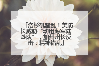 洛杉矶骚乱！美防长威胁“动用海军陆战队”，加州州长反击：精神错乱