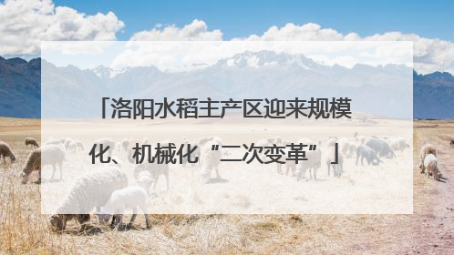 洛阳水稻主产区迎来规模化、机械化“二次变革”