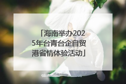 海南举办2025年台青台企自贸港省情体验活动