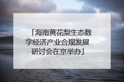 海南黄花梨生态数字经济产业合规发展研讨会在京举办