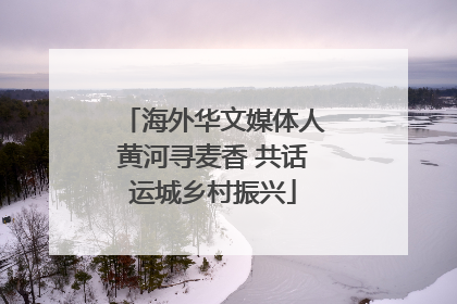 海外华文媒体人黄河寻麦香 共话运城乡村振兴