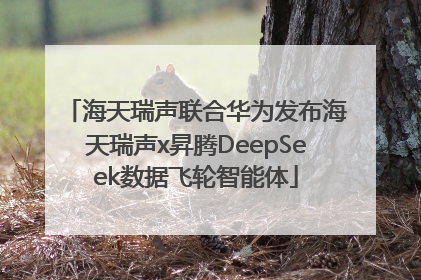 海天瑞声联合华为发布海天瑞声x昇腾DeepSeek数据飞轮智能体