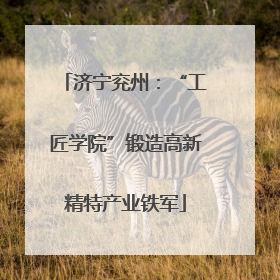 济宁兖州：“工匠学院”锻造高新精特产业铁军