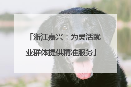 浙江嘉兴：为灵活就业群体提供精准服务