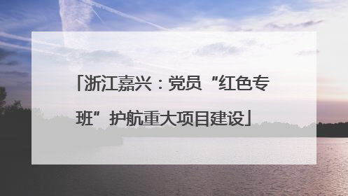 浙江嘉兴：党员“红色专班”护航重大项目建设