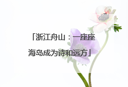 浙江舟山：一座座海岛成为诗和远方
