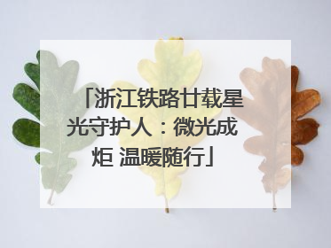 浙江铁路廿载星光守护人：微光成炬 温暖随行