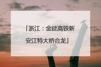 浙江：金建高铁新安江特大桥合龙