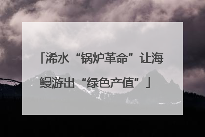 浠水“锅炉革命”让海鳗游出“绿色产值”