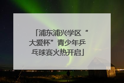 浦东浦兴学区“大爱杯”青少年乒乓球赛火热开启