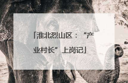 淮北烈山区：“产业村长”上岗记