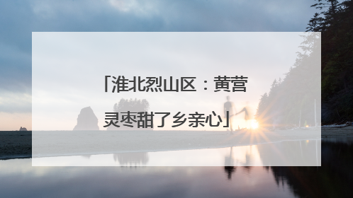 淮北烈山区：黄营灵枣甜了乡亲心