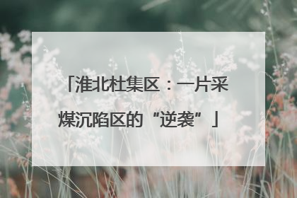 淮北杜集区：一片采煤沉陷区的“逆袭”