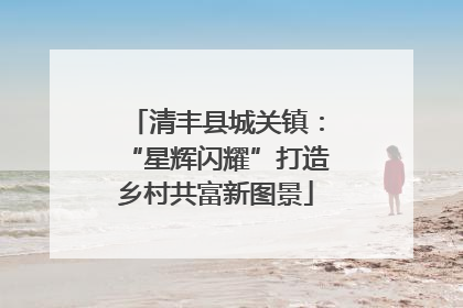 清丰县城关镇：“星辉闪耀”打造乡村共富新图景