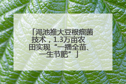 渑池推大豆根瘤菌技术，1.3万亩农田实现“一播全苗、一生节肥”