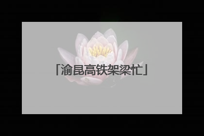 渝昆高铁架梁忙